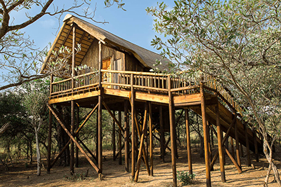 the Treehouse game  lodge  on a private reserve