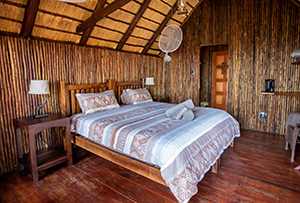 Tree House Lodge bedroom